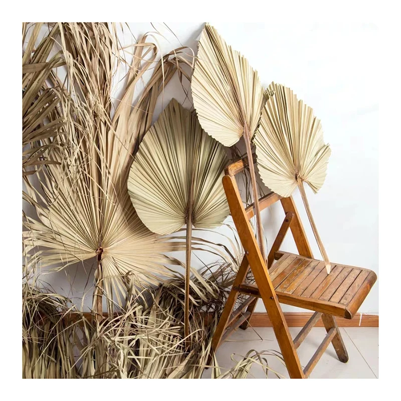 Wholesale Most Popular Real Natural Dried Palm Leaves For Home