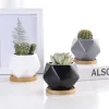 /product-detail/wholesale-geometric-design-small-cute-succulent-pots-ceramic-pots-for-succulent-plants-60506052416.html