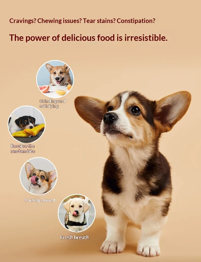 Dog Snacks Duck Sweet Potato Molar Pet Puppy Dental Cleaning Nutrition Training Rewards Made in Shandong details