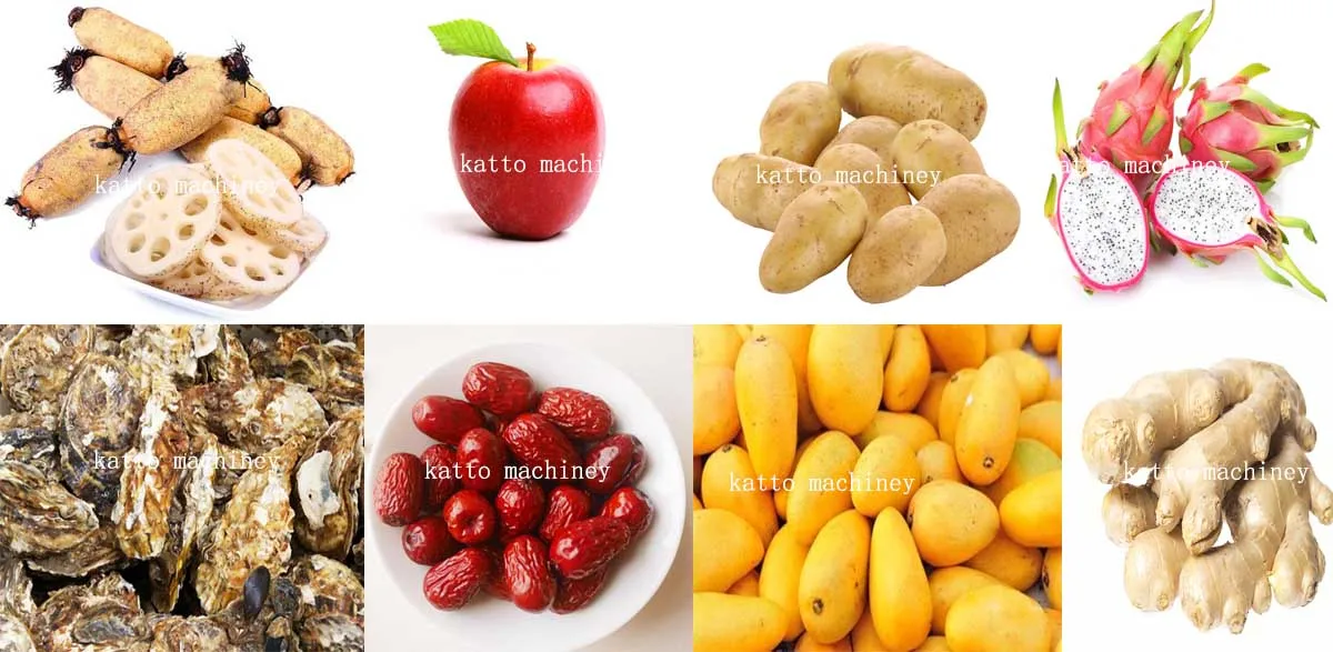 like apple ,mango tomato ,potato ,ginger ,carrot ,radish