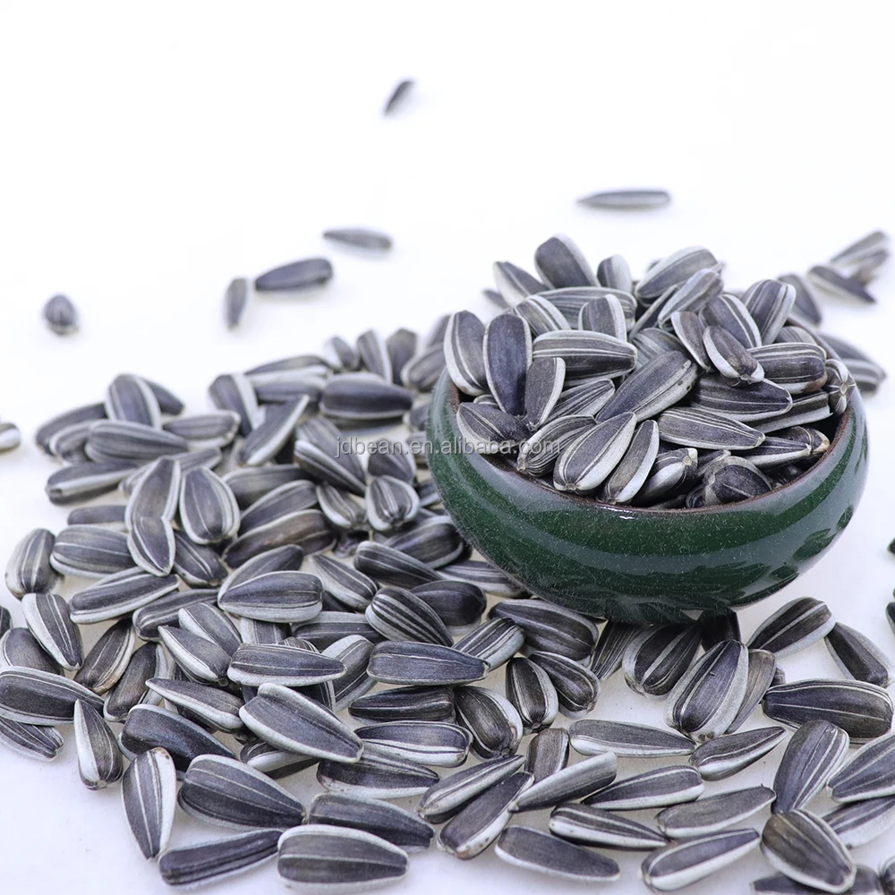 Wholesale Organic Sunflower Seed Market Price Sunflower Seed Price Per