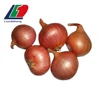 HALAL/GAP China Fresh Shallot Onion-Small Red Onion, Malaysia Fresh Shallot