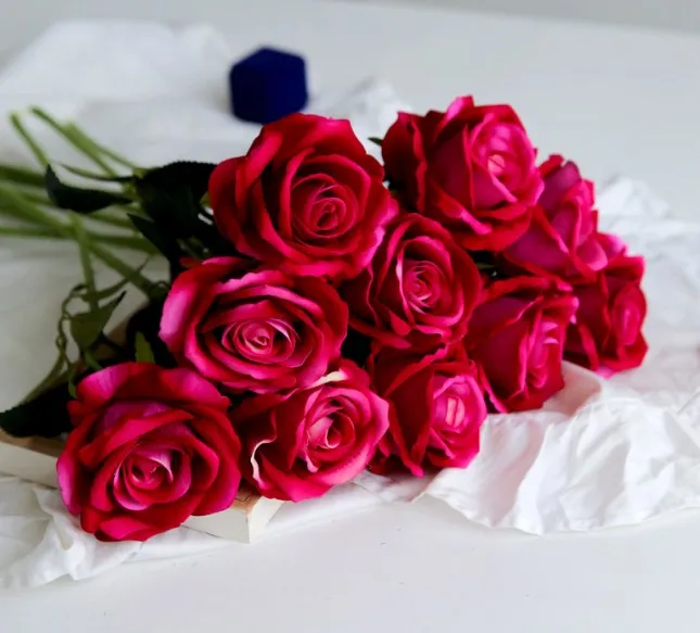 valvet rose-24.JPG