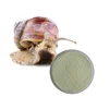 /product-detail/linherb-supply-best-quality-cosmetic-grade-pure-snail-extract-62390076455.html