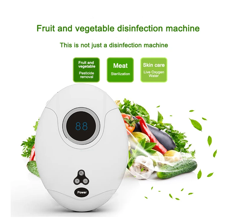 Ozone Generator For Clean Vegetable Fruit Meat Ozone Cleaner Ozonizer