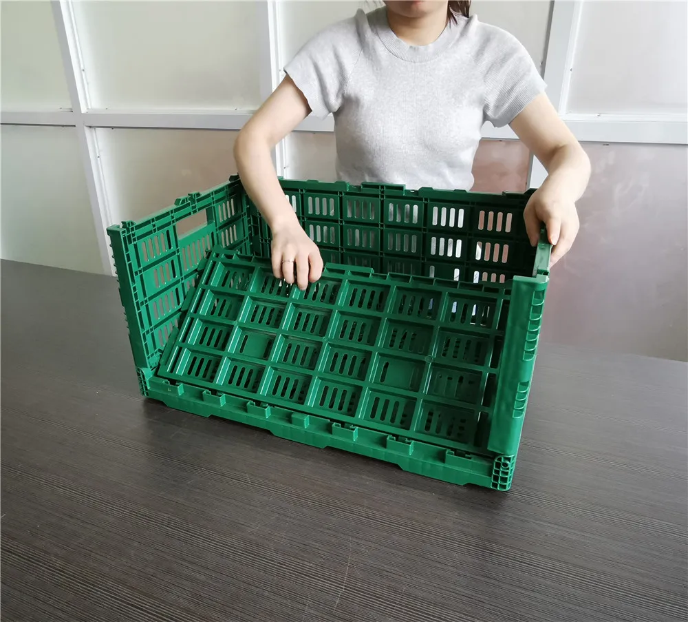 600*400*300mm Collapsible Storage Crate Agriculture And Fruit Turnover