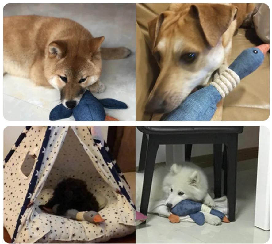 pet wild goose toy (3).png