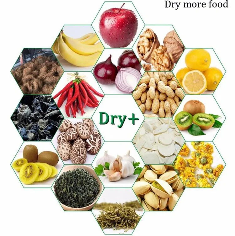 2020 hot - selling multi-function PLC controlled tunnel Galangal Powder microwave dryer