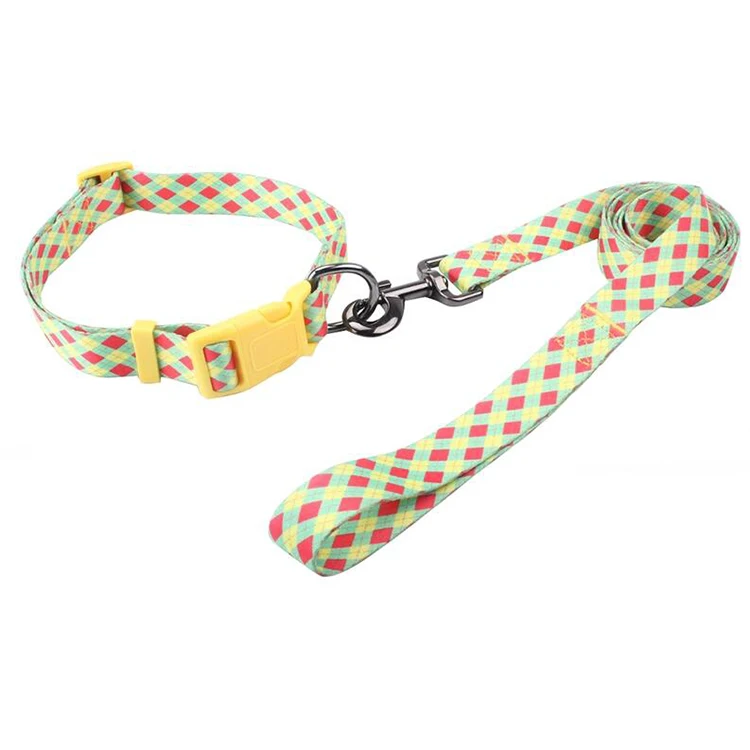 Dog collar leashes-25