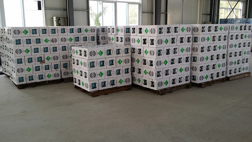R134A-.jpg