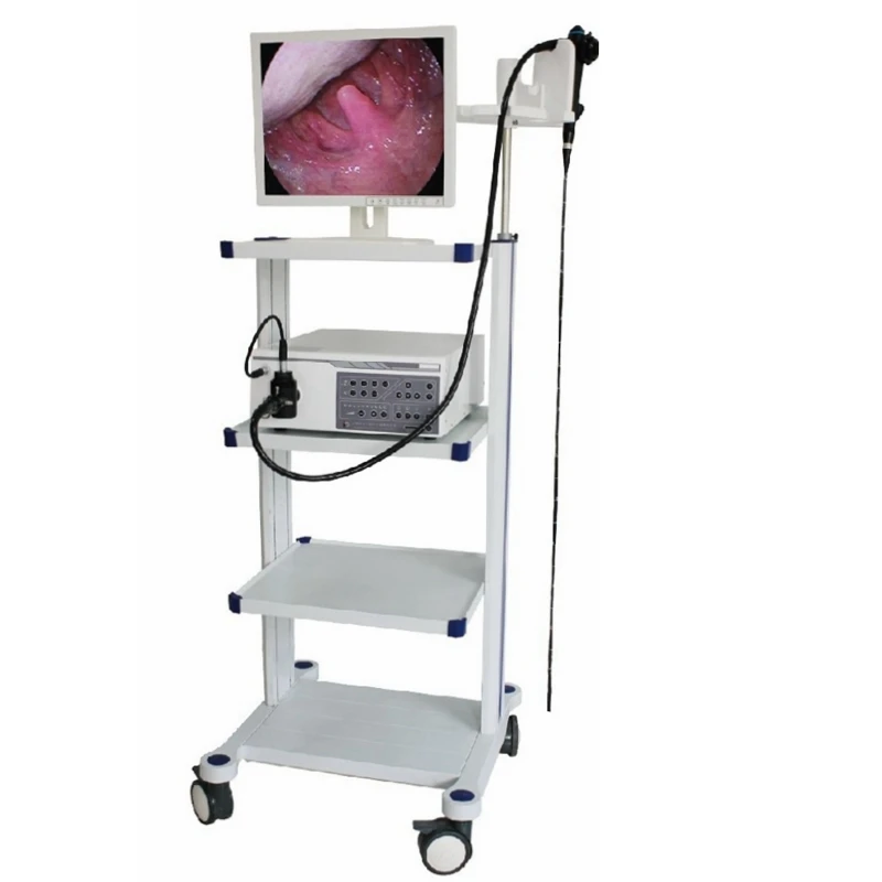 High Resolution Video Gastroscope & Video Colonoscope In One Set