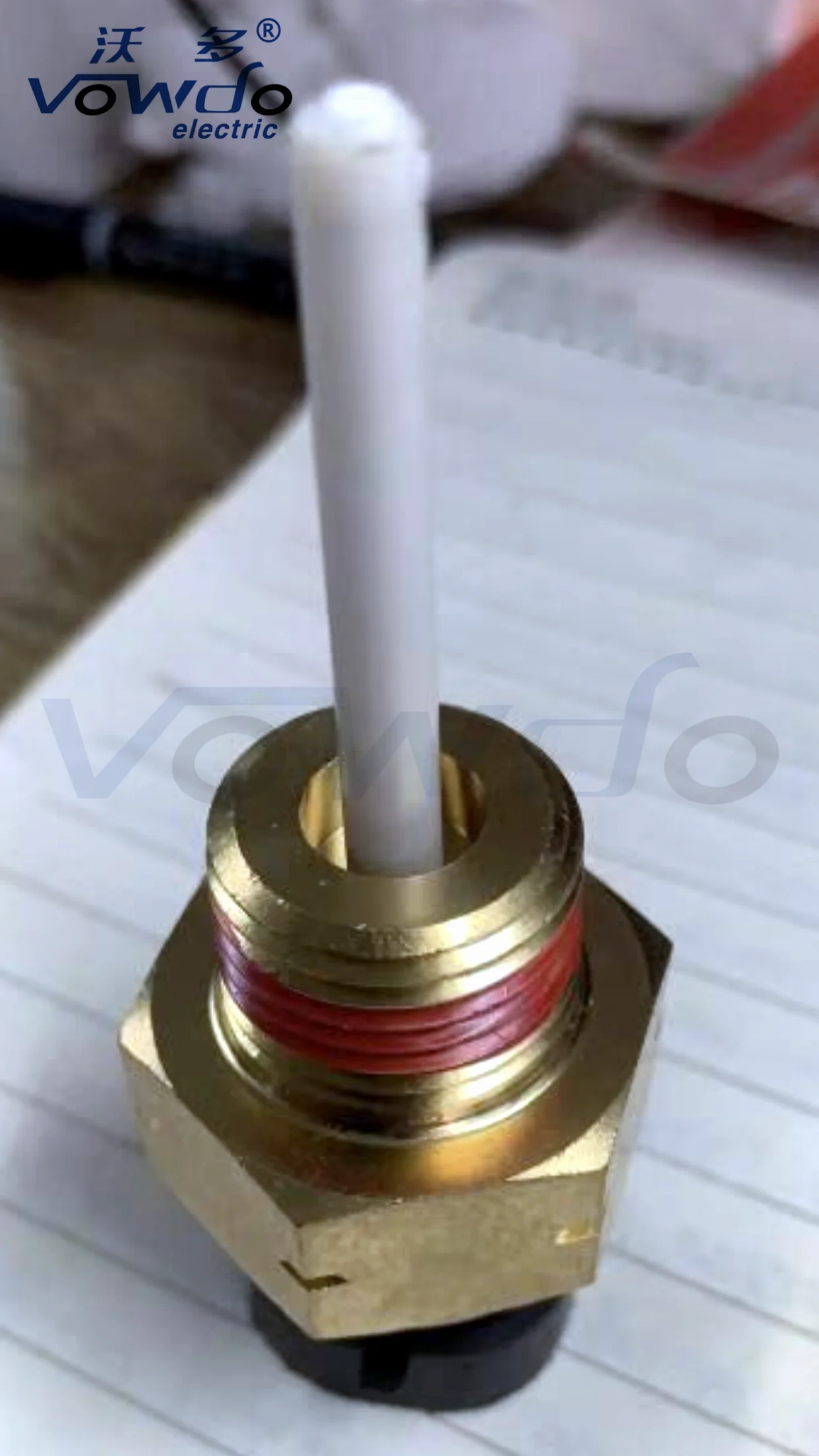 0193-0568_2_.png