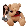 Custom Child Plush Toy Shy Magnet Fixed Arm Teddy Bear