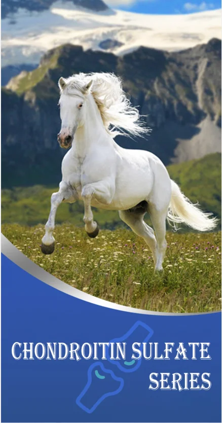 Joint injection Chondroitin Sulfate injection solution for racehorses manufacturer