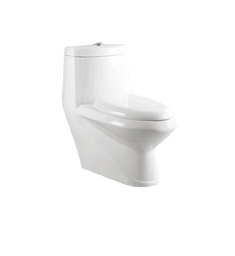 modern classic style Round Floor-standing Double pumping bathroom ceramic sanitary cover family toilet seat