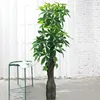 /product-detail/china-artificial-plastic-tree-branches-indoor-decoration-green-trees-for-weddings-62359075561.html