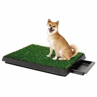 dog bathroom mat