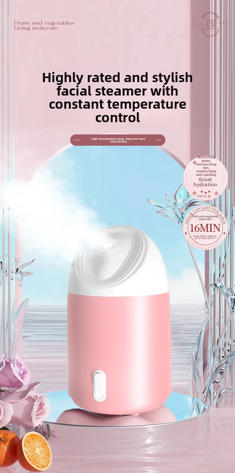 Portable hydrating facial steamer