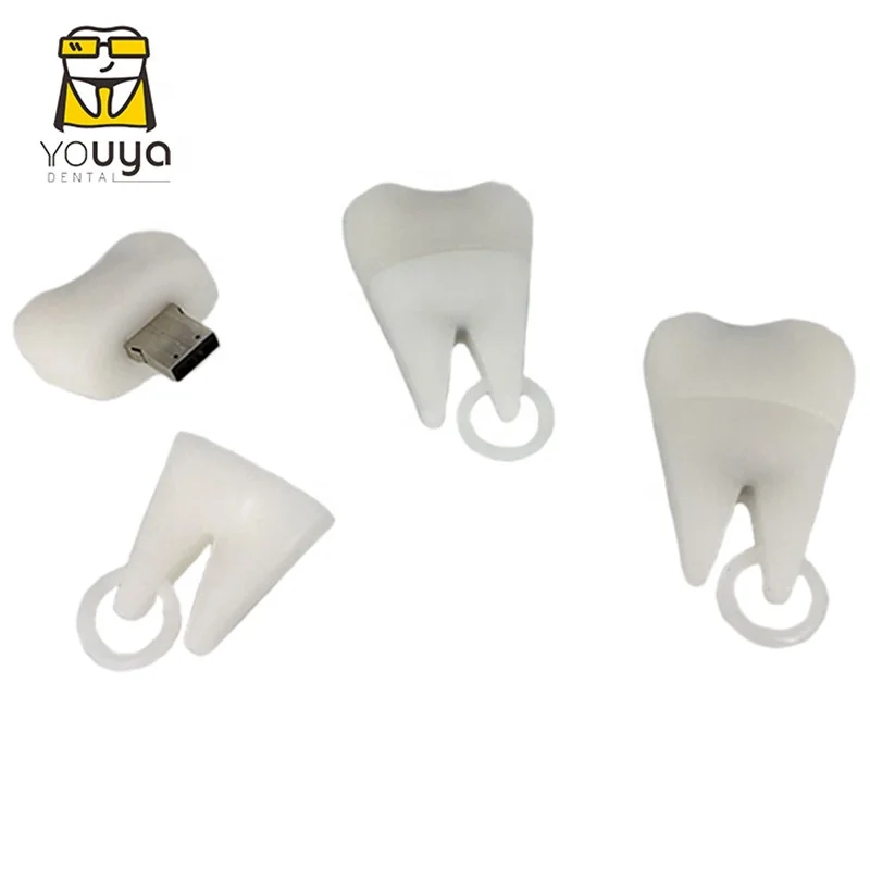 Best Selling PVC Material Tooth Shape 16GB USB Flash Drive For Dentist Gift - ANKUX.COM