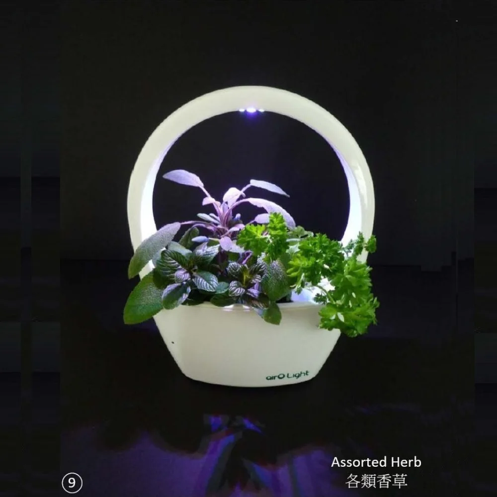 Amazing Led Growing Lights Pots Led Growing Planter Indoor Planter