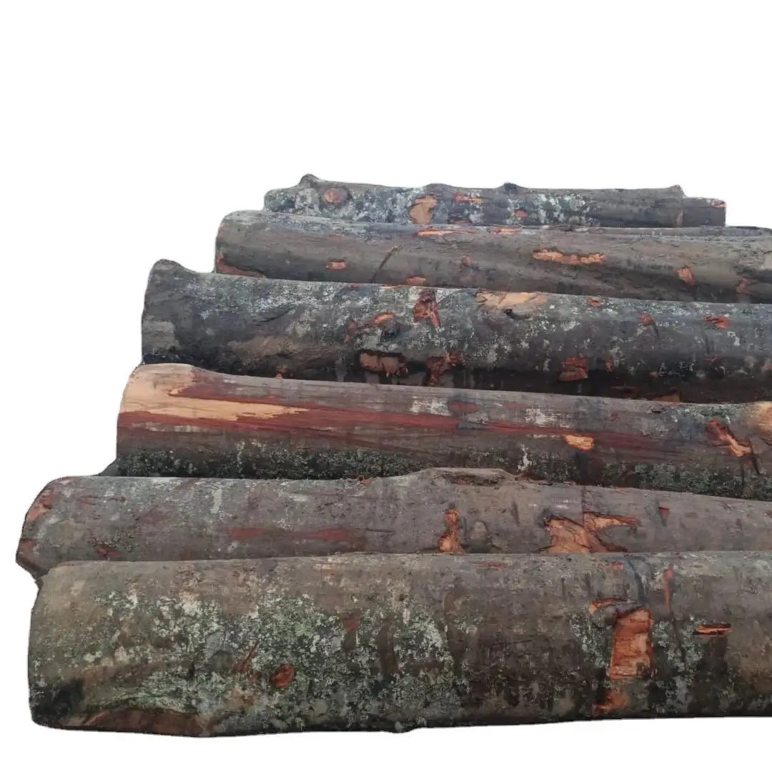 Cheap Wood Logs,Pine Wood Logs And Timber Wood Logs For Sale,High