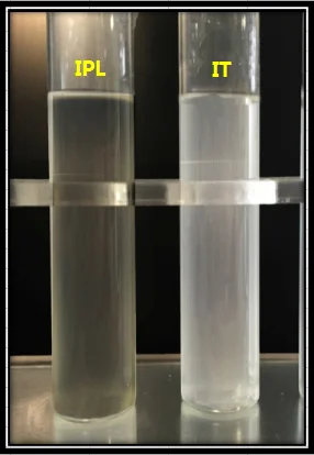 silicone oil emulsifier