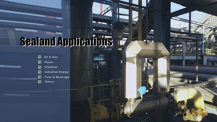 ATEX Coriolis mass flow meter 