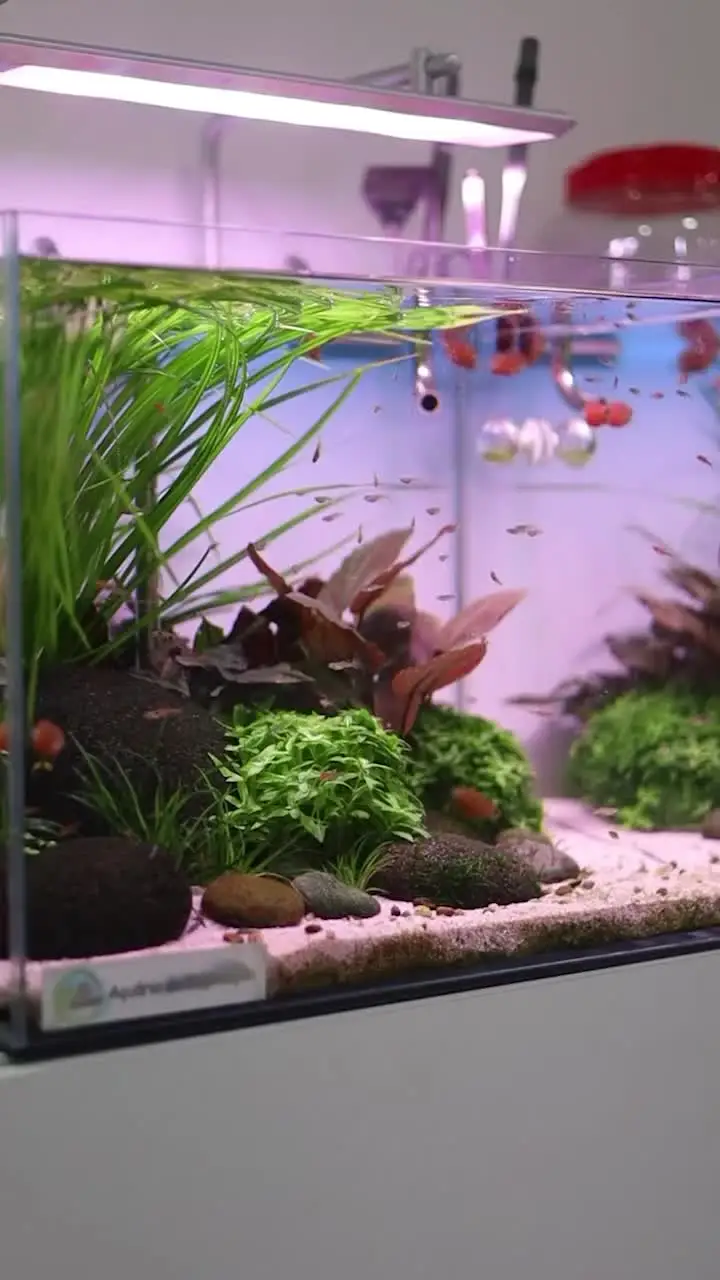 H5585ce03dd6c46e4b322409cff0bd