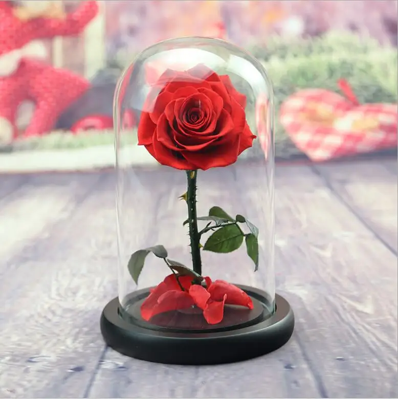 Wholesale Long Lasting Fresh Forever Real Touch Preserved Rose Flower