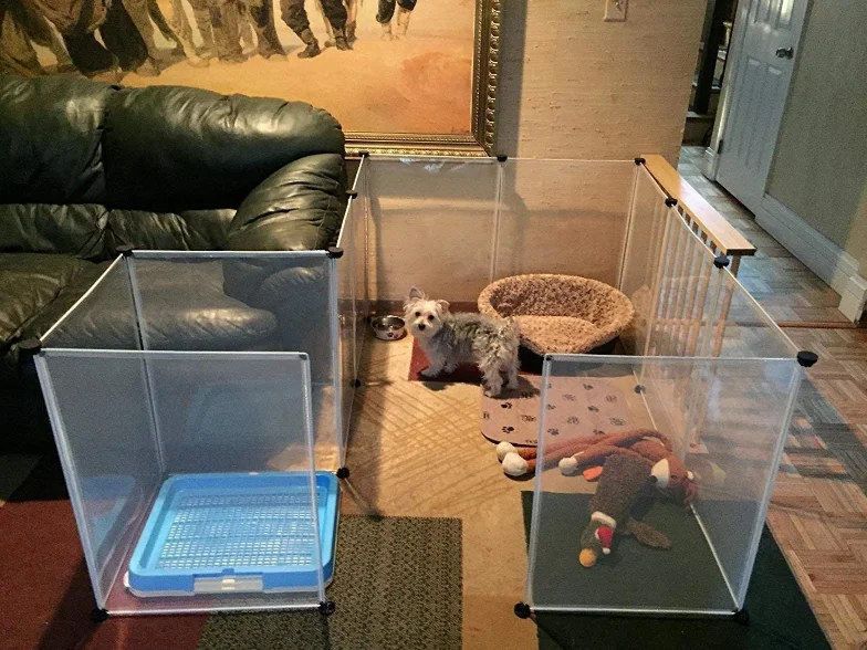 pet fence3.jpg