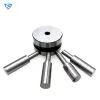 High Aaccurate Various Standard Tablet Tdp-5 Die And Ddie Set Factory Cheap Pill Press Machine