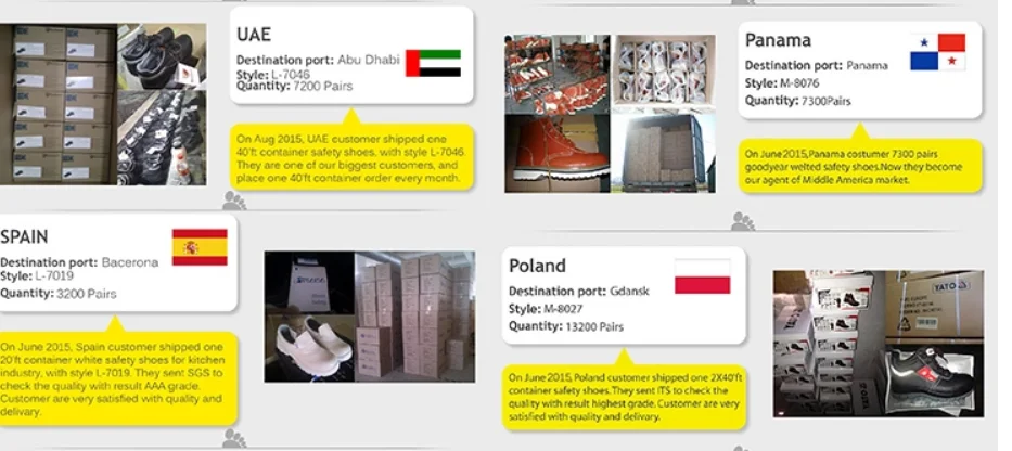 info (1).png