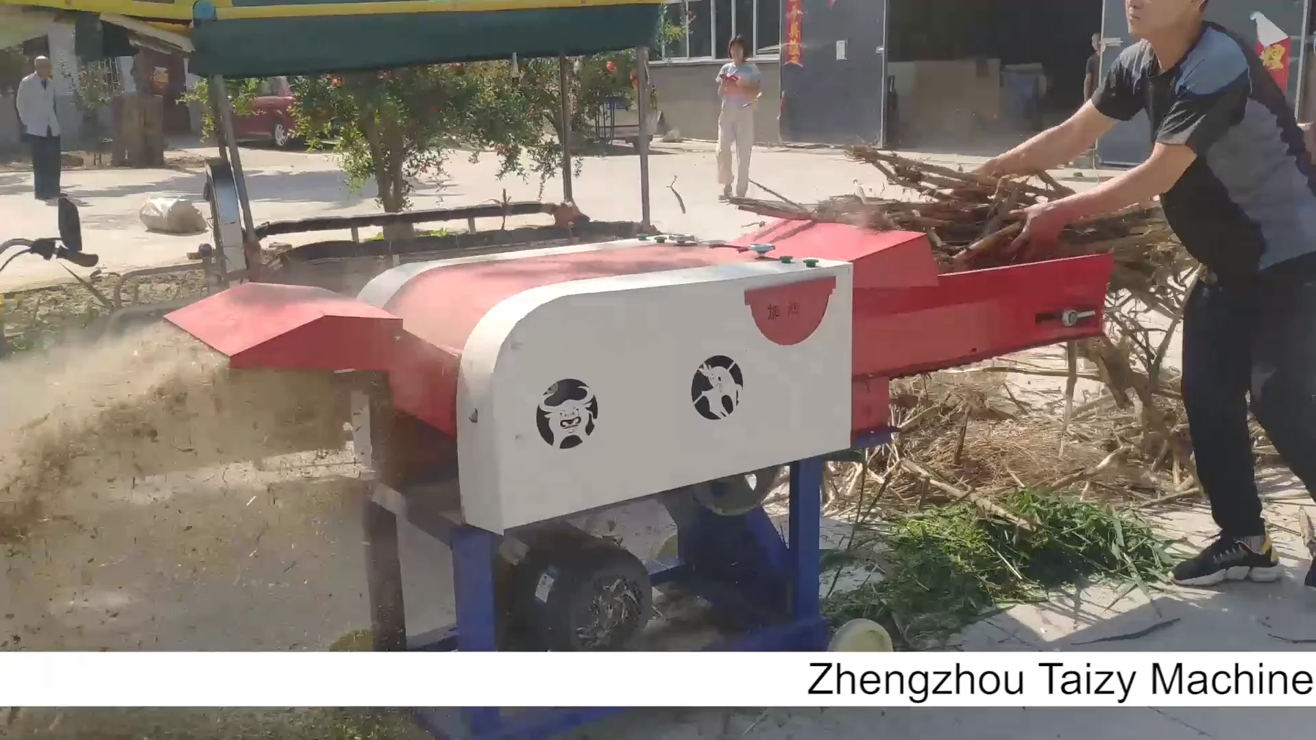 Grass Chopper Machine In Sri Lanka Machinery Grass Cutting Animal Use