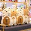 Washable Cover Bear Stuffed With Blanket Pillow Ready to Ship Wholesale Plush Toy
