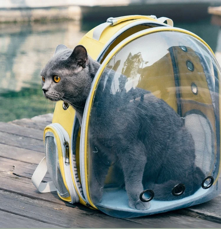 Cosmic pets. Прозрачный рюкзак для животных. Здравствуйте вы животное в переноске.