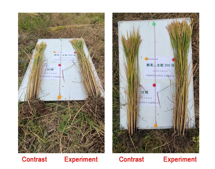 foliar fertilizer(8).jpg