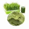 Organic barley grass juice powder with OEM service