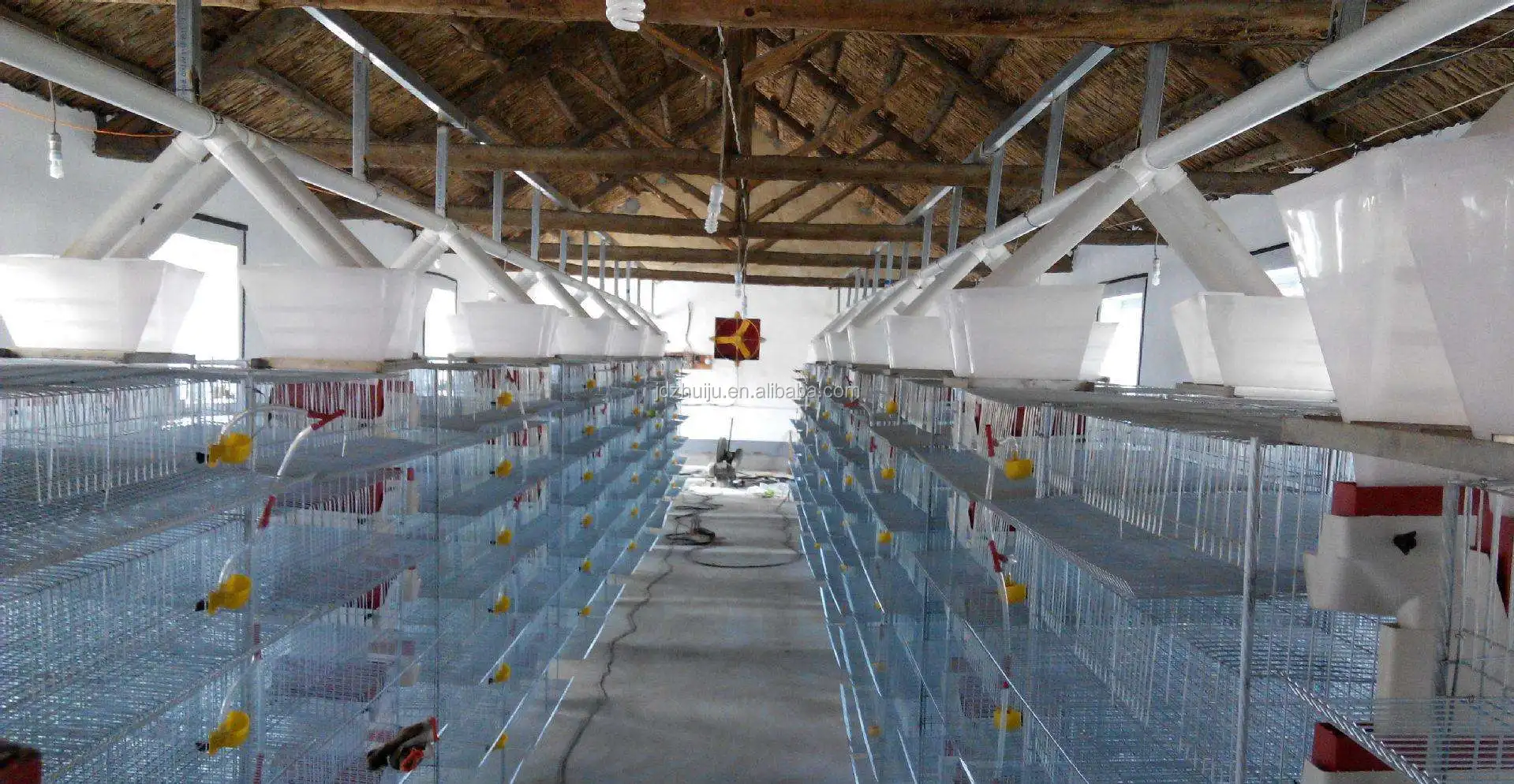 Automatic Design Battery Layer Chicken Cages/ Commercial Quail Layer Cage Buy Battery Cage