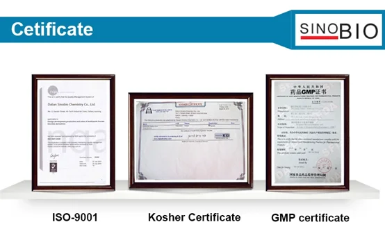 paste-pic-dp_uuid_pjssc