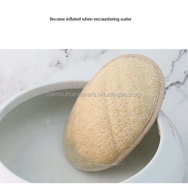 body loofah sponge06.jpg