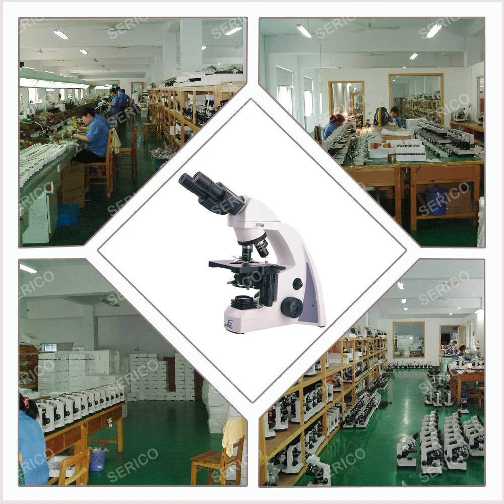 20211703 N-300M -3.jpg