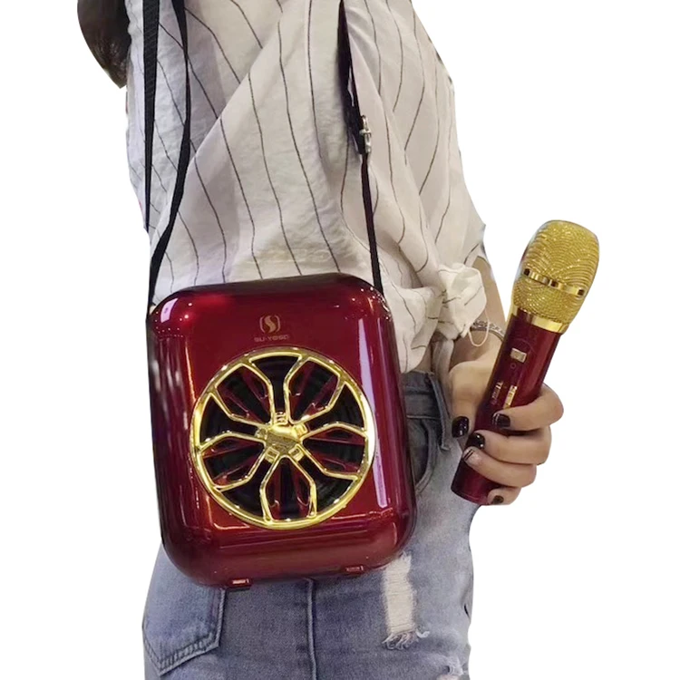 Carefully selected materials professional outdoor pa speakers portable karaoke speaker - ANKUX.COM