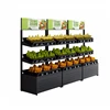 Powder coating 30-40kg/layer Retail Food Display Beauty retail light duty 2 layers vegetable and fruit display