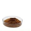 100% Natural Paraguay Tea Yerba Mate Extract Powder
