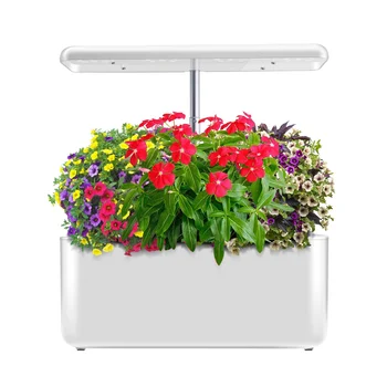 aerogarden hydroponic