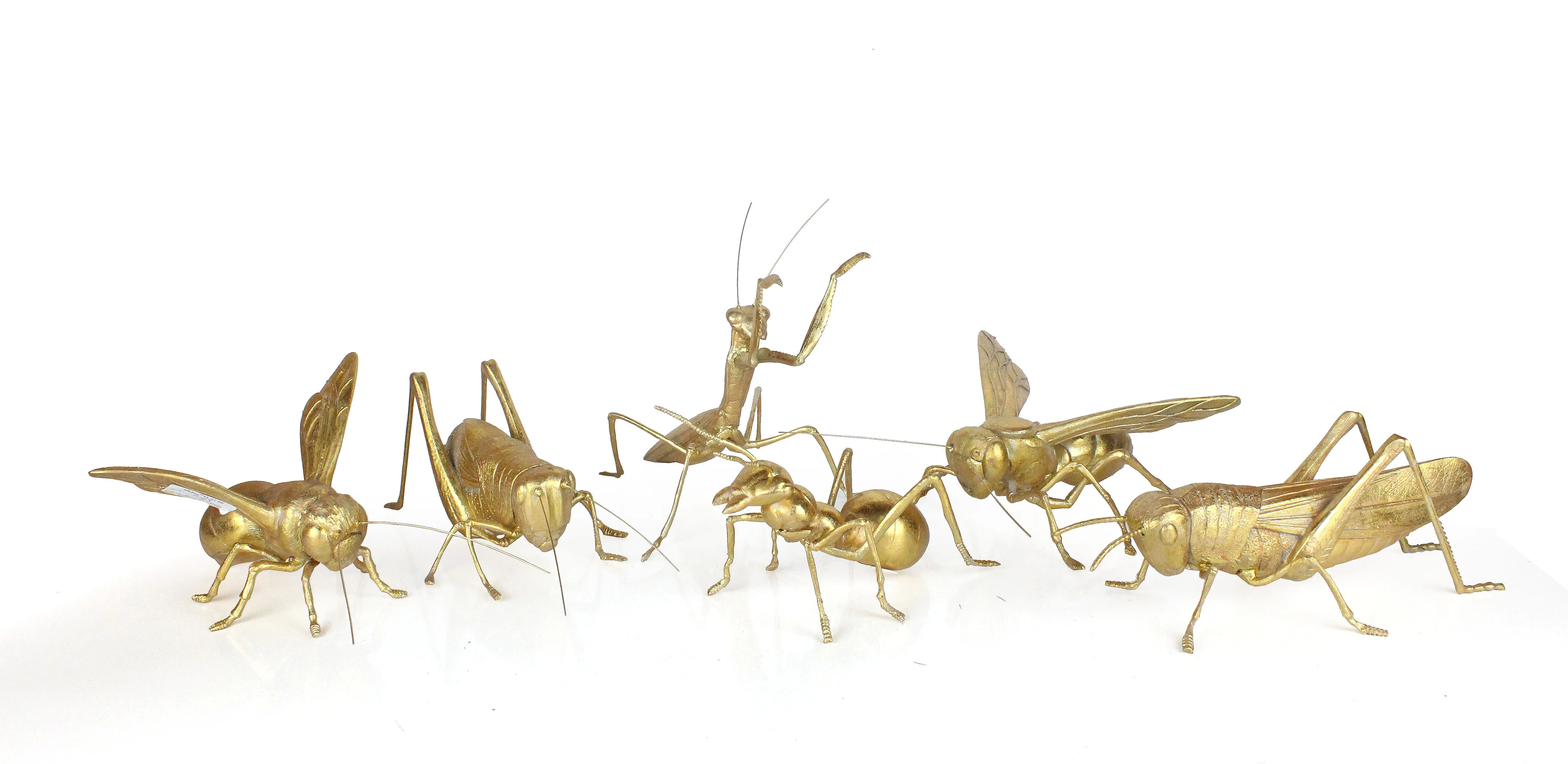 Wholesale Resin New 3D Gold Ants beetle Insect gift Sculpture For Home Decoration supplier