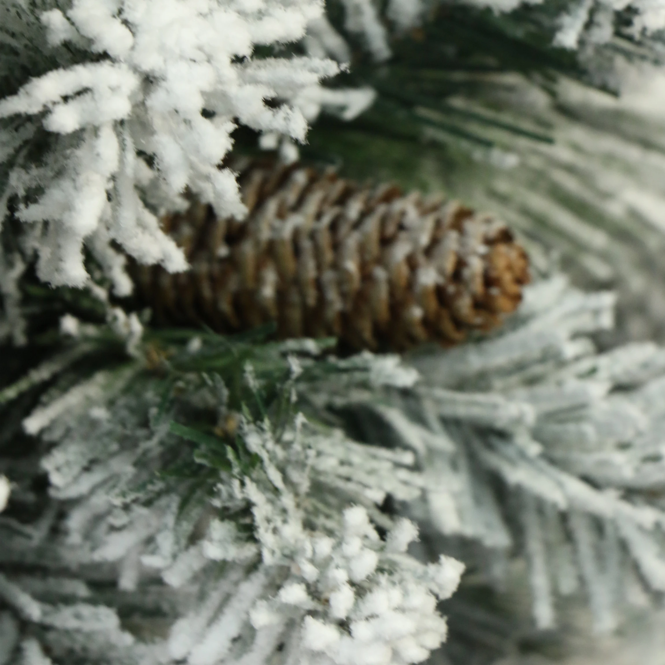 White Christmas Tree.jpg