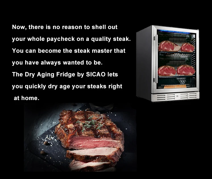 Da180s Salami Dryaged Machine Size Steak Showcase 388l Aged