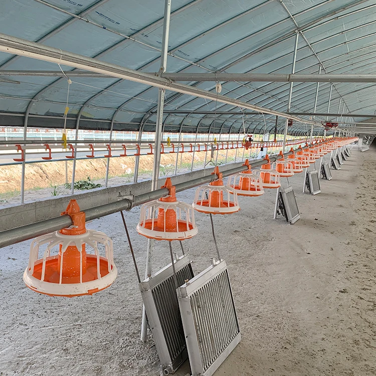 Farming Automatic Chicken Drinking And Feeding Line System Chicken Farm Equipment Buy Feeding