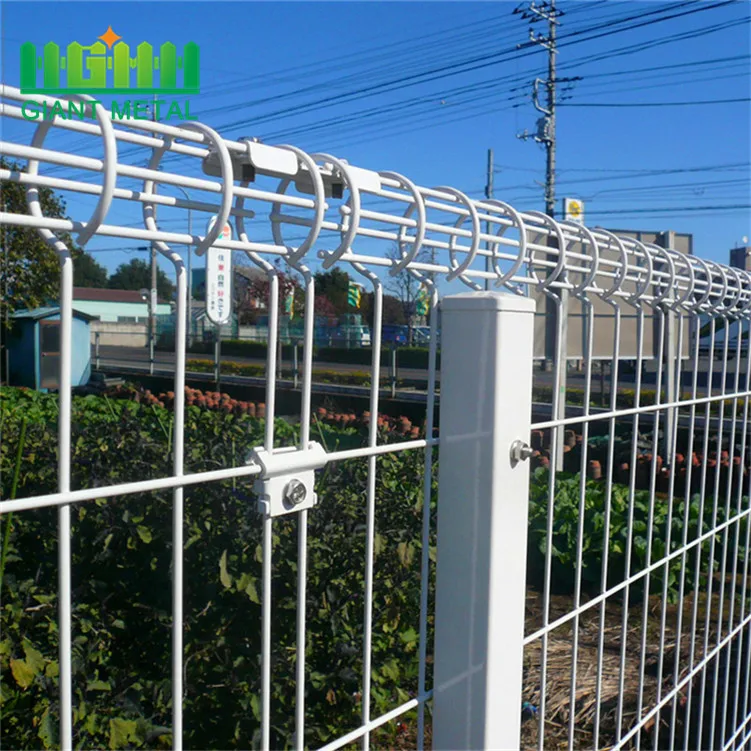 에 대한 최신 회사 뉴스 공장 디자인 최고의 가격 롤 이중 루프 원형 철망 울타리  0